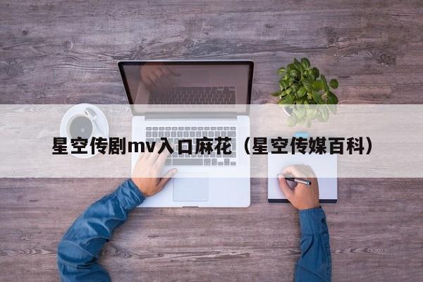 星空传剧mv入口麻花(星空传媒百科)